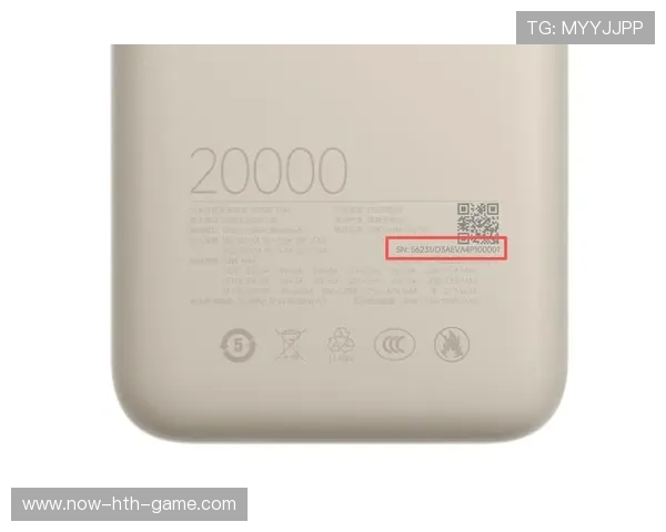 问题充电宝召回潮,对电商平台销售影响几何?,充电宝质量有问题怎么退 问题充电宝召回潮,对电商平台销售影响几何?,充电宝质量有问题怎么退